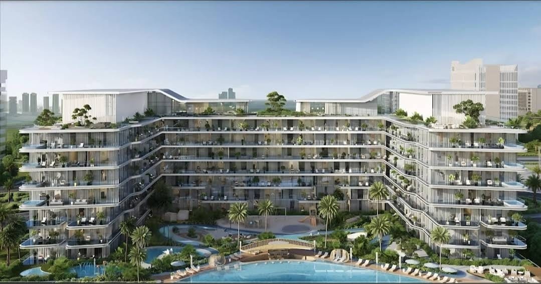 Verano by AOM INTERNATIONAL